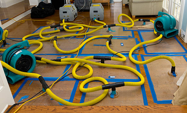 Professional Basement Flood Cleanup technician working in Los Gatos, CA